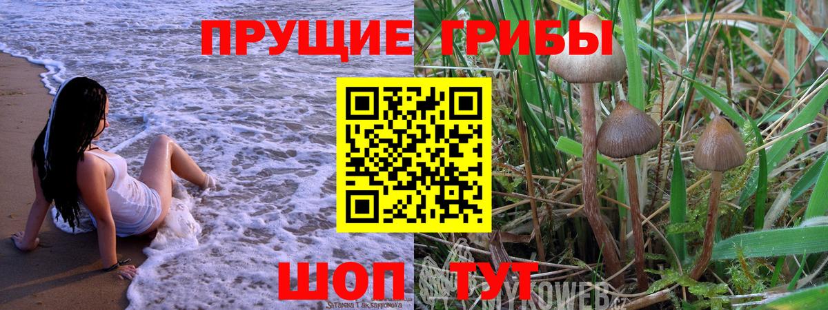 ГАШ  Батайск  МЕФ   МЕТ  Вход с VPN  ЭКСТАЗИ  ГАШИШ  Канабис 