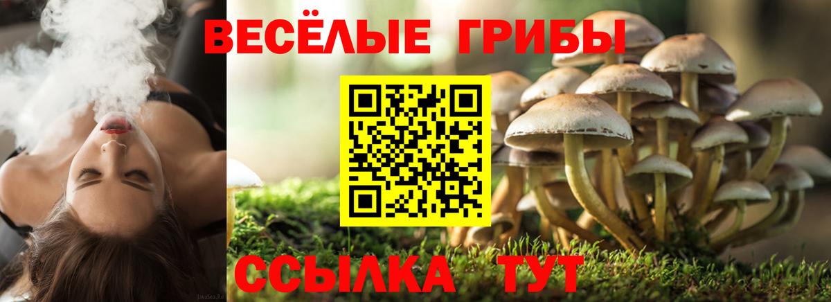 Батайск  Галлюциногенные грибы Psilocybe  Галлюциногенные грибы мухоморы  Вход с VPN 
